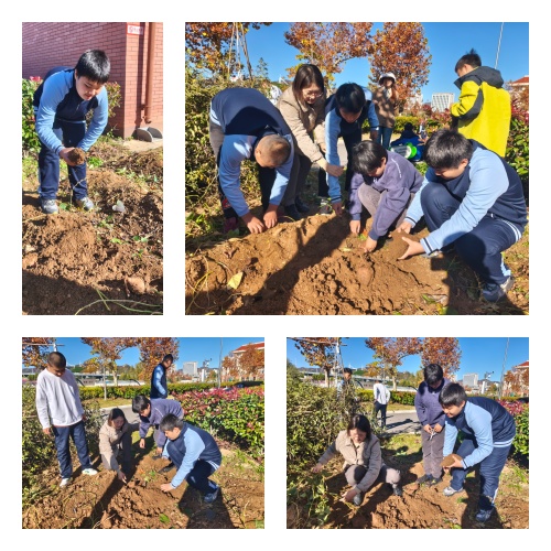 未命名.jpg 未命名.jpg